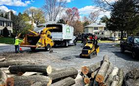 How Our Tree Care Process Works  in  Oneonta, AL